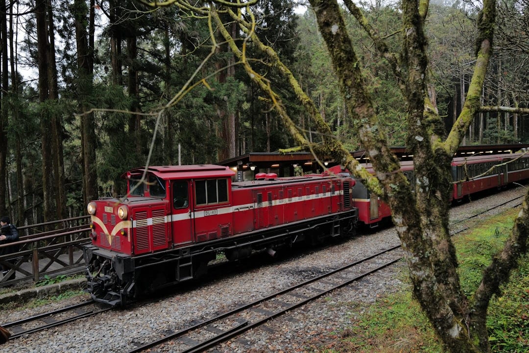 A red train travels through a lush green forest