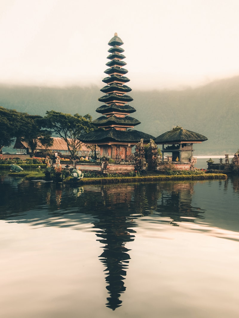 Bali Indonesia rice terraces