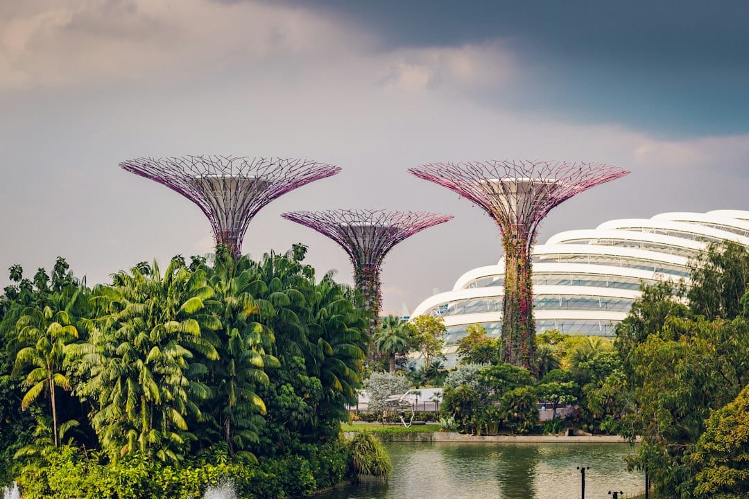 Gardens by the Bay Supertree Grove in Singapore