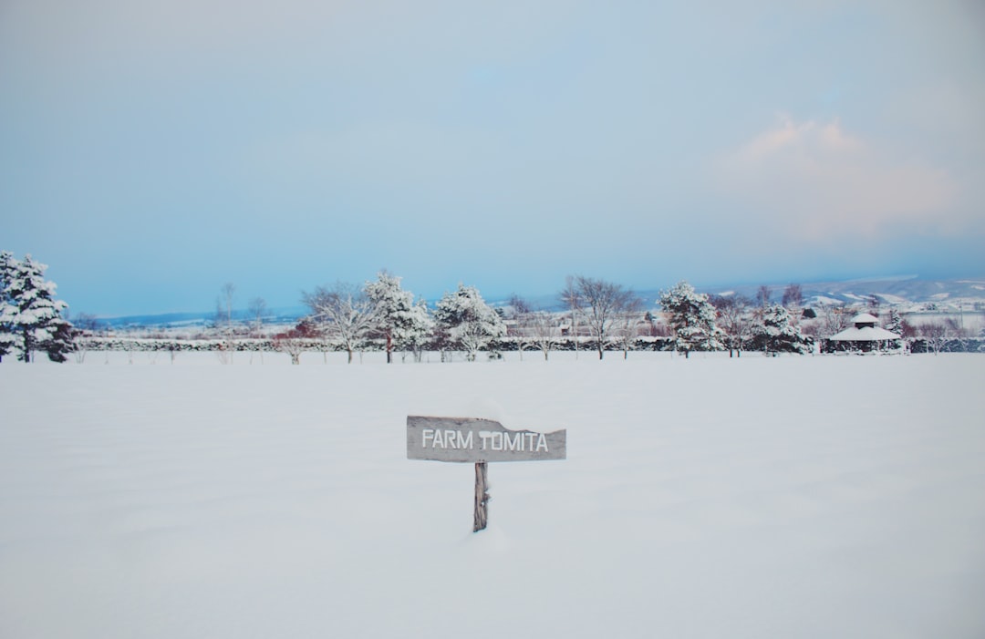 Hokkaido winter snow festival