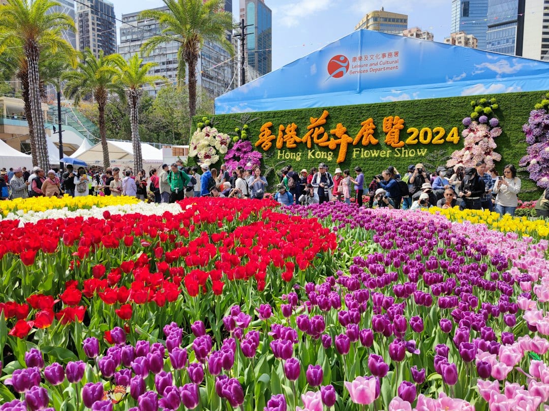 Victoria Park lantern displays during Hong Kong Mid-Autumn Festival