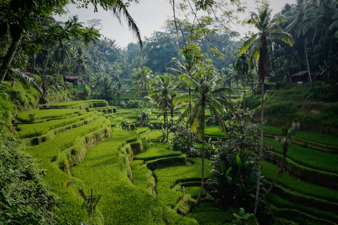 Indonesia Tour Packages