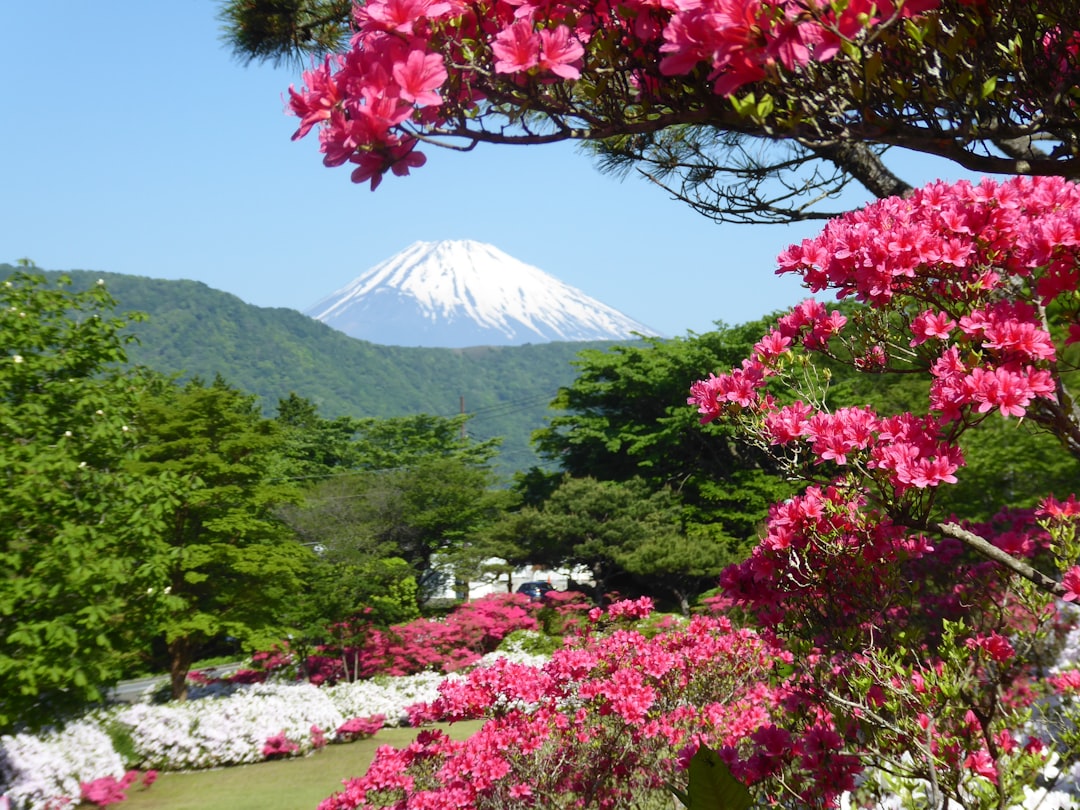 Japan Tour Packages