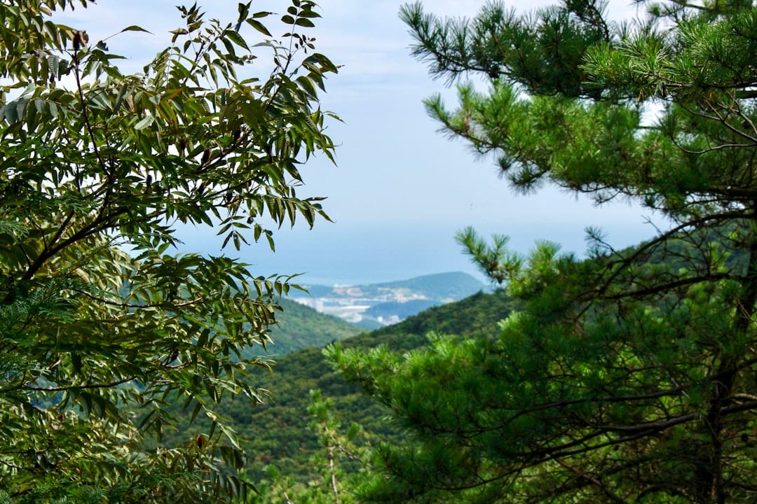 Traditional Korean temple buildings nestled in forested mountains at Beomeosa Temple in Busan