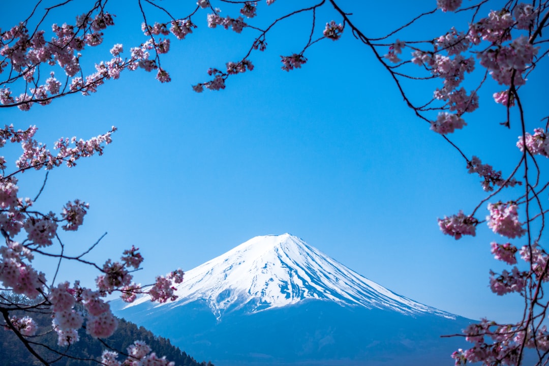 Japan travel packages featuring Mount Fuji and cherry blossoms