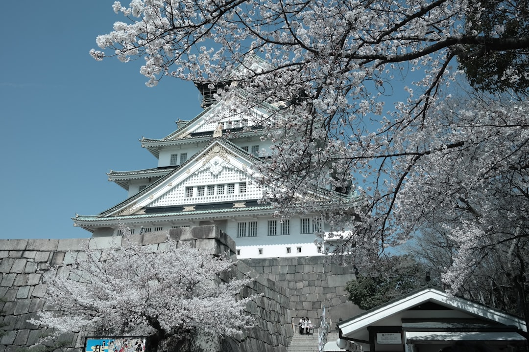 Osaka Castle with cherry blossoms