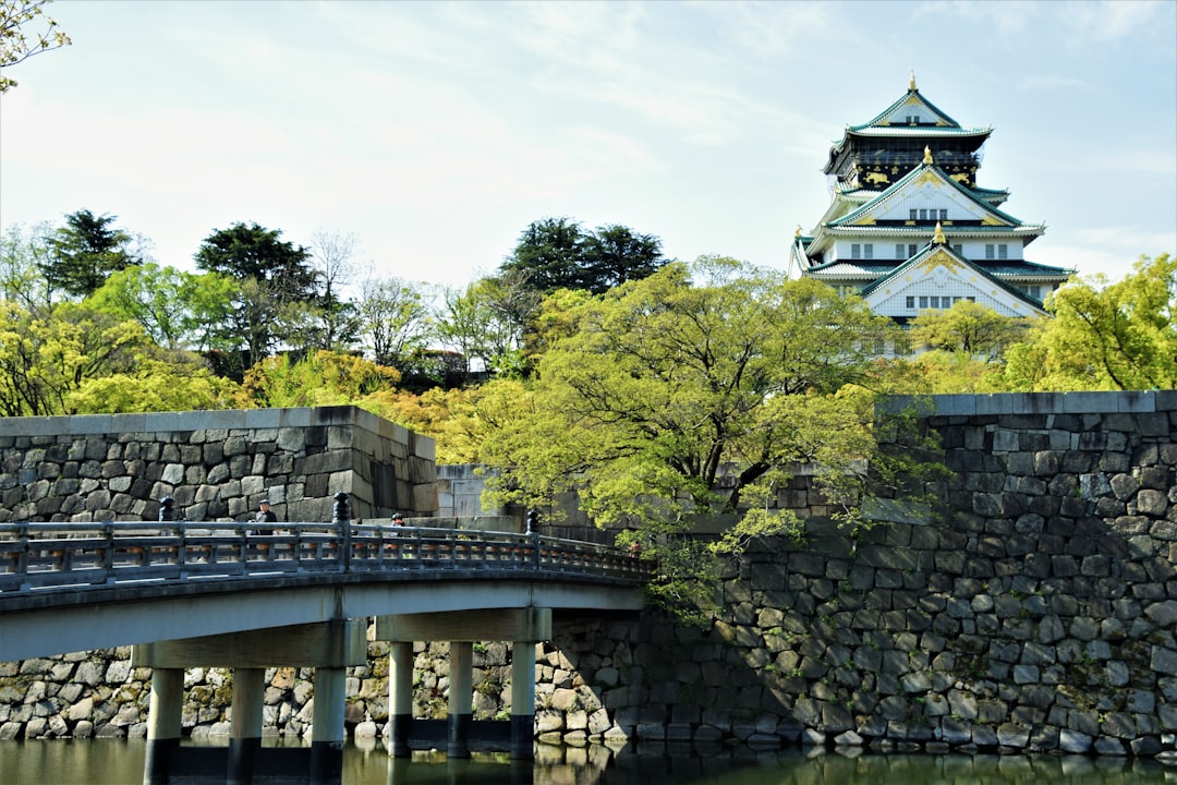 Osaka Japan cityscape with castle