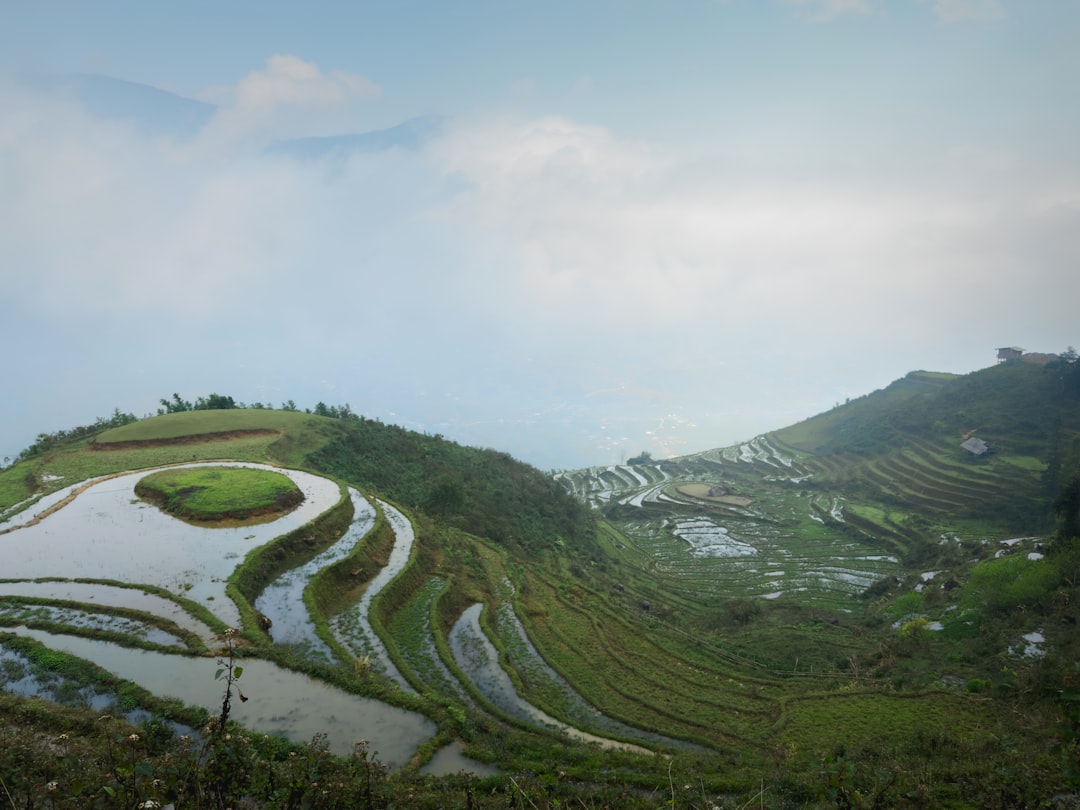 Sapa rice terraces Vietnam