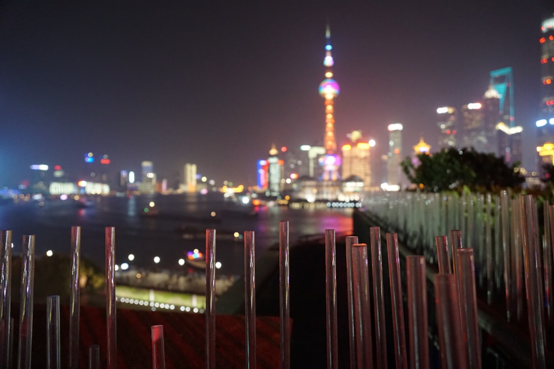 MSC Shanghai Cruise