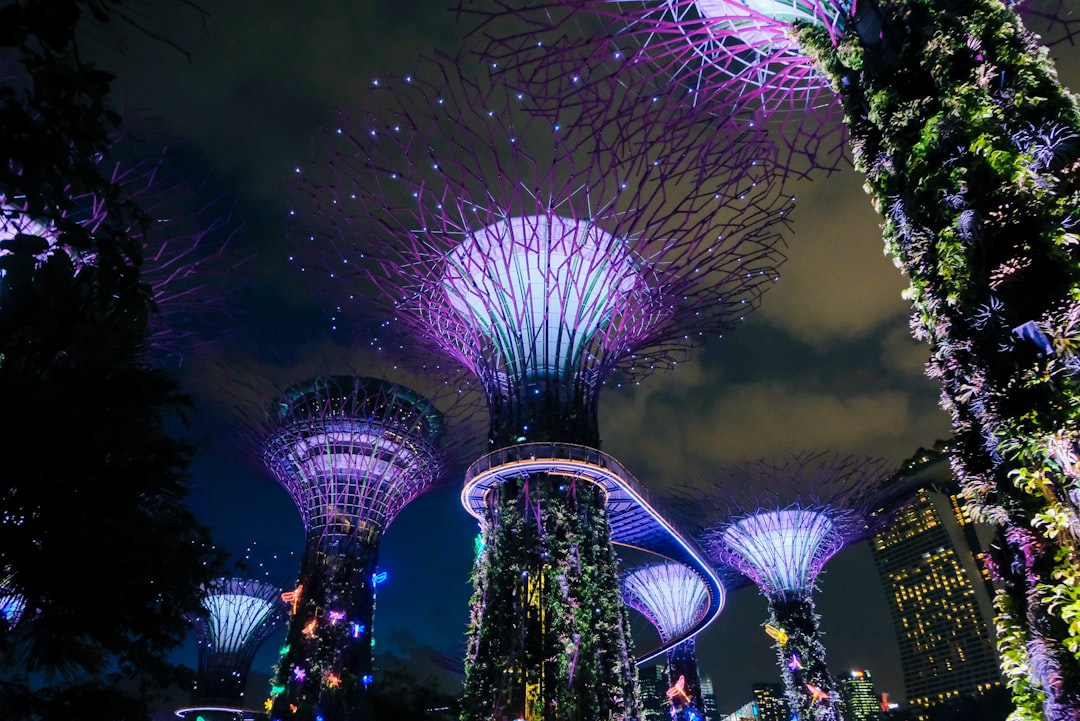 Singapore travel packages - Gardens by the Bay