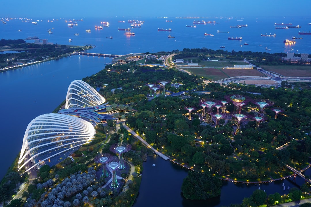 Singapore Gardens by the Bay supertrees at night