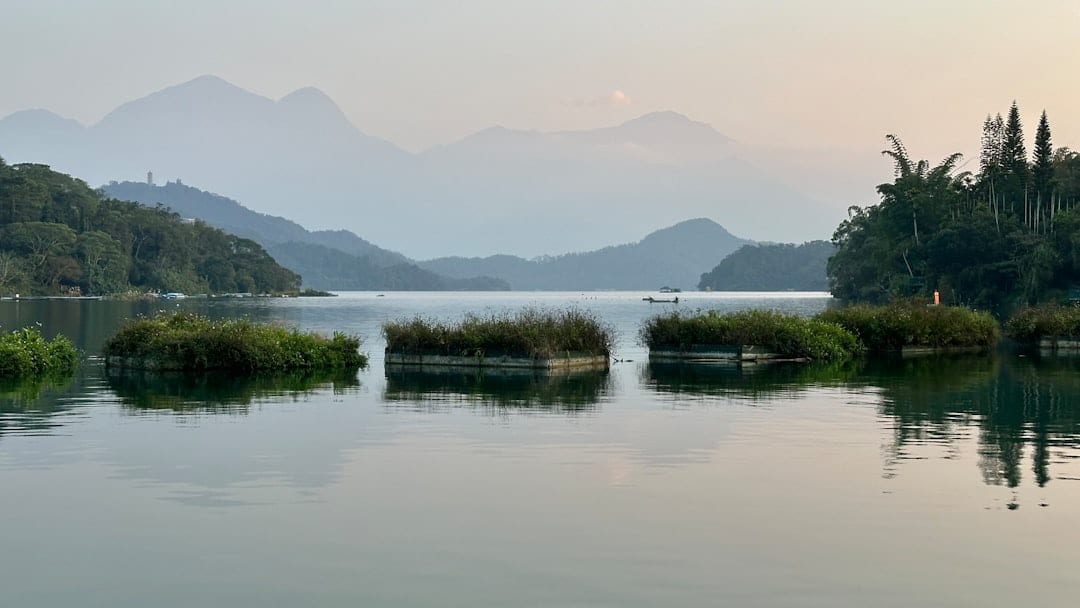 A body of water surrounded by trees and mountains