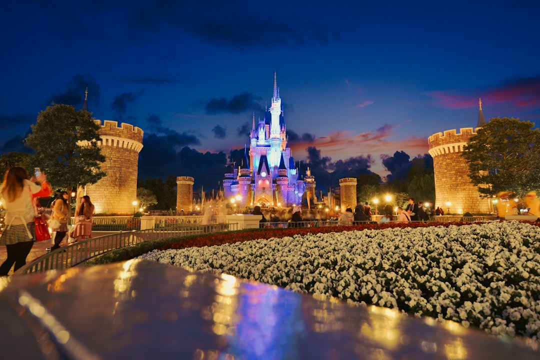 Tokyo Disneyland magical castle