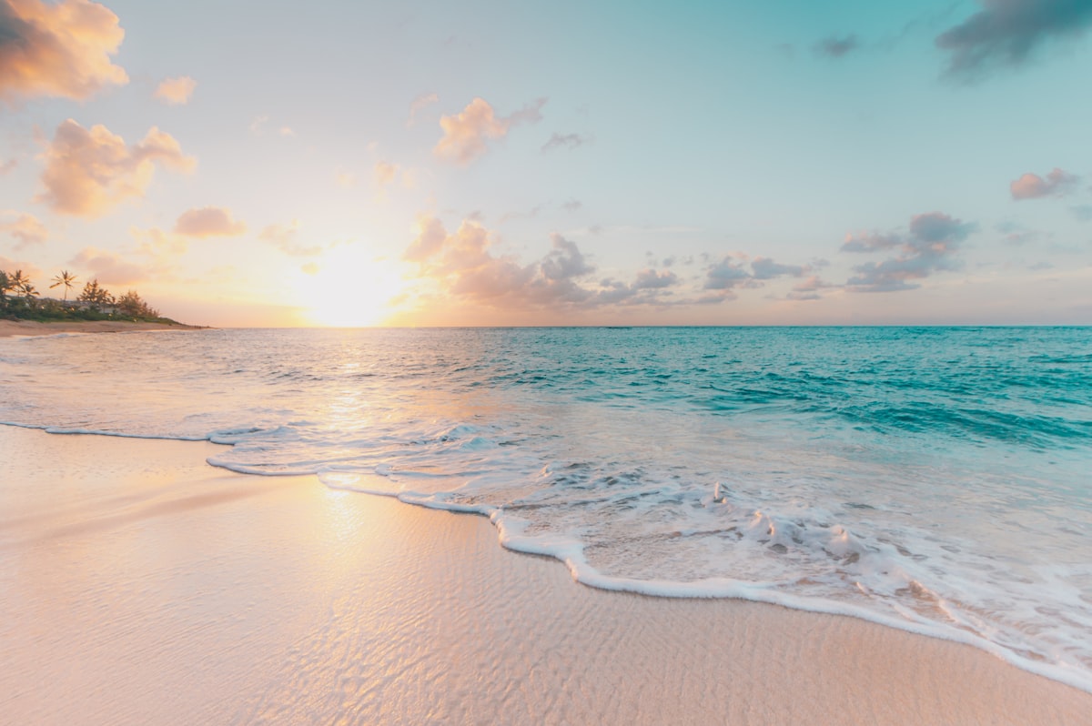 Tropical island diving